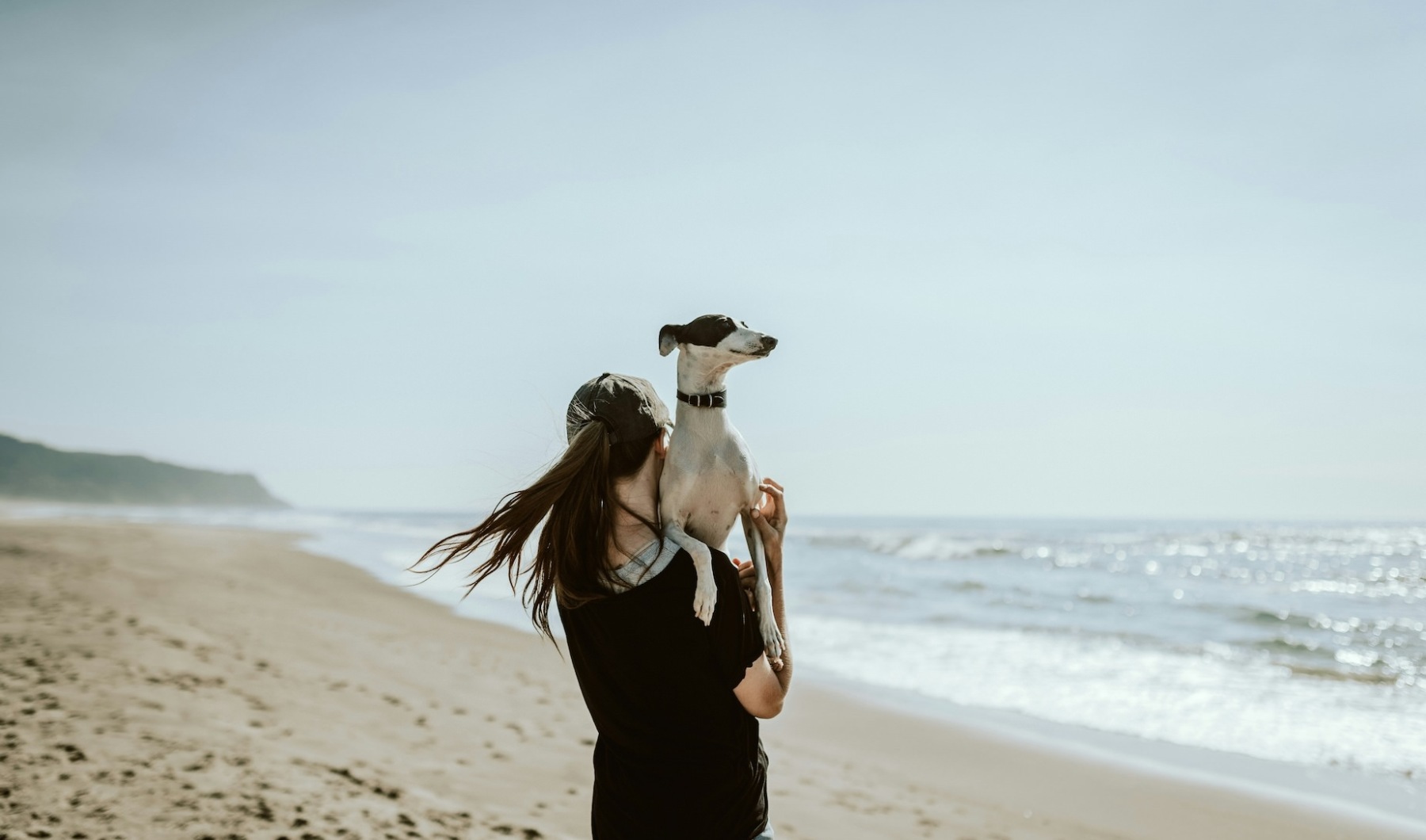 Chewy 1 KS Bn Tv Mah Y unsplash11 5c3e977bfe57b59368bb457f312ad4f4